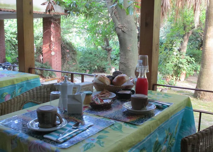 La Gallina Felice B&B